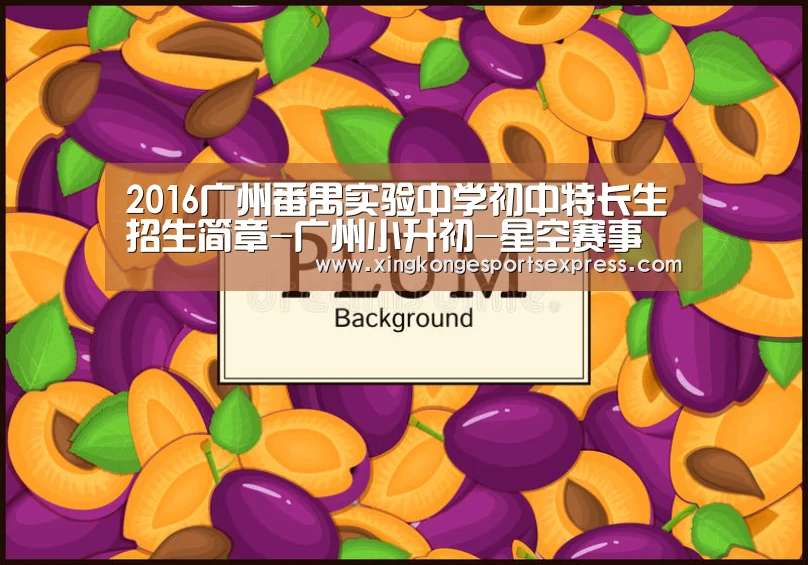 2016广州番禺实验中学初中特长生招生简章-广州小升初-星空赛事(图1) 星空直播