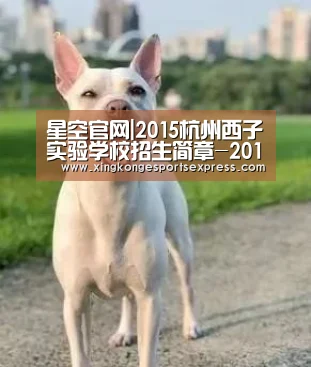 星空官网|2015杭州西子实验学校招生简章-2015杭州小升初(图1) 星空官网