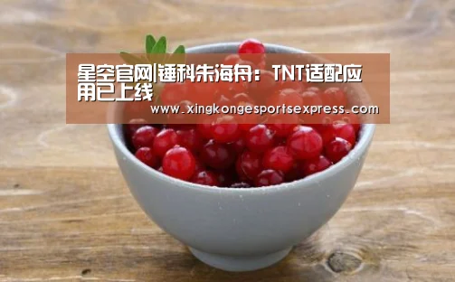 星空官网|锤科朱海舟:TNT适配应用已上线(图1) 星空官网