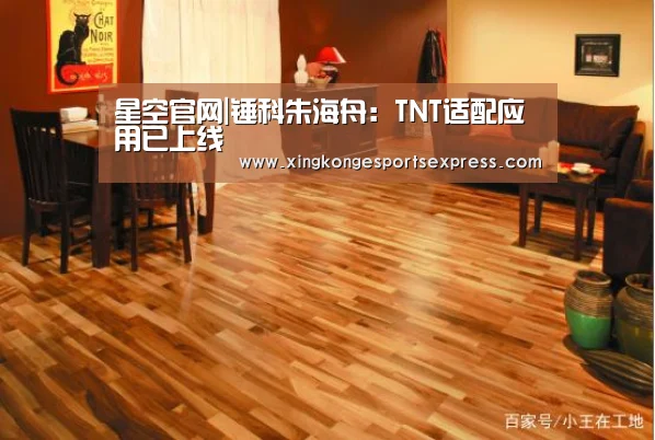 星空官网|锤科朱海舟:TNT适配应用已上线(图2) 星空赛事