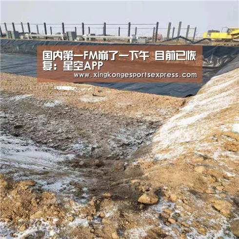 国内第一FM崩了一下午 目前已恢复:星空APP(图3) 星空官网