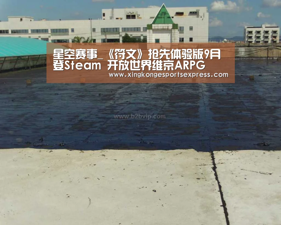 星空赛事_《符文》抢先体验版9月登Steam 开放世界维京ARPG(图2) 星空APP